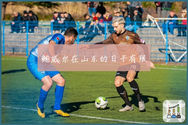 鲍威尔在山东的日子有限